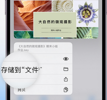 衡山apple维修中心分享iPhone文件应用中存储和找到下载文件