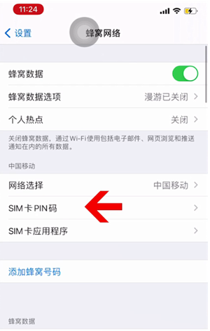 衡山苹果14维修网分享如何给iPhone14的SIM卡设置密码 