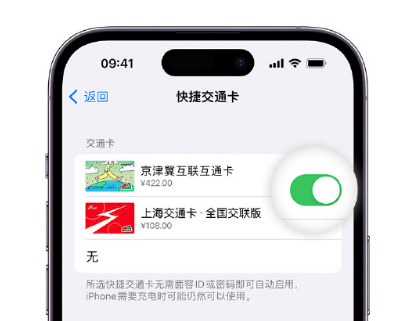 衡山apple维修点分享iPhone上更换Apple Pay快捷交通卡手绘卡面 