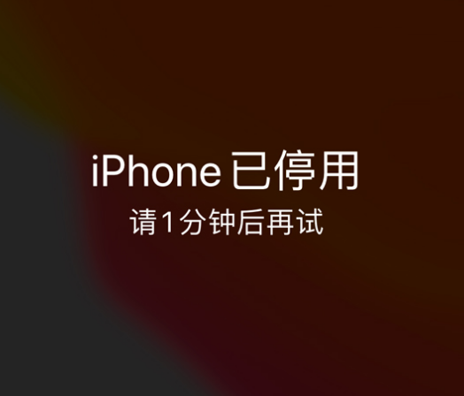 衡山苹果手机维修分享:iPhone 显示“不可用”或“已停用”怎么办？还能保留数据吗？ 