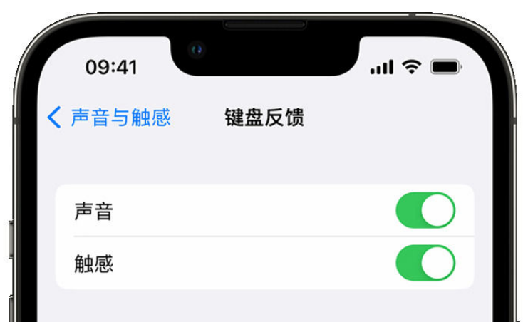 衡山苹果手机维修分享iPhone 14触感键盘使用方法 
