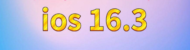 衡山苹果服务网点分享苹果iOS16.3升级反馈汇总 