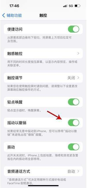 衡山苹果手机维修分享iPhone手机如何设置摇一摇删除文字 